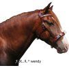 Obnosek Wendy F.R.A., mocca (Velikost PONY)