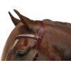 Obnosek Wendy F.R.A., mocca (Velikost PONY)