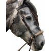 Uzdečka bezudidlová Tinver F.R.A., černá (Velikost FULL)