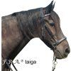 Uzdečka bezudidlová Taiga F.R.A., černá (Velikost PONY)