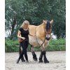 Uzdečka Hackamore Caval F.R.A., černá (Velikost EXTRA FULL)