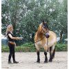 Uzdečka Hackamore Caval F.R.A., černá (Velikost EXTRA FULL)
