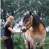 Uzdečka Hackamore Caval F.R.A., černá (Velikost EXTRA FULL)