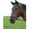 Uzdečka Hackamore Caval F.R.A., černá (Velikost EXTRA FULL)