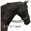 Uzdečka Hackamore Caval F.R.A., černá