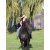 Uzdečka bezudidlová Sidepull Flandy F.R.A., černá (Velikost PONY)