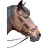 Uzdečka s hackamore Aram F.R.A., mocca