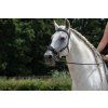 Uzdečka Hackamore Fiore F.R.A., černá (Velikost PONY)