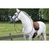 Uzdečka Hackamore Fiore F.R.A., černá (Velikost PONY)