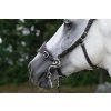 Uzdečka Hackamore Fiore F.R.A., černá (Velikost PONY)
