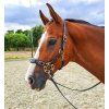 fra fra miranti hackamore bitless bridle