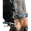 vyrp11 1466f r a hackamore music