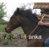 rijring anka 3