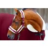 Set ohlávky s vodítkem Bordeaux Equestrian Stockholm, deep red
