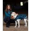 Deka pro psy Aurora Blues Equestrian Stockholm, blue