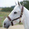 Ohlávka Comfort Bucas, hnědá (Velikost PONY)