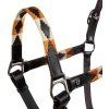 Ohlávka kožená Polo N Equestro, černá (Velikost COB)