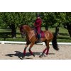 Dečka podsedlová Dark Bordeaux Equestrian Stockholm, drezurní, deep red