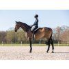 Pad jezdecký Super Soft QHP, black/nature (Velikost FULL)