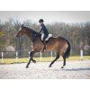 Pad jezdecký Super Soft QHP, black/nature (Velikost FULL)