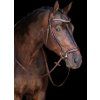 Uzdečka Carolin HKM, hnědá (Velikost PONY)