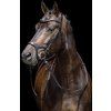 Uzdečka Anatomic Sports HKM, černá (Velikost PONY)