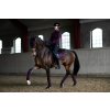 Dečka podsedlová Black Raven Equestrian Stockholm, drezurní, purple