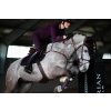 Dečka podsedlová Sportive Black Raven Equestrian Stockholm, všestranná, purple