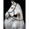 Uzdečka Rambo Micklem Multibridle 2, černá (Velikost COB/FULL)