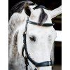 Uzdečka Rambo Micklem Multibridle 2, černá (Velikost COB/FULL)