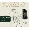pegasus front