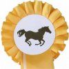 horseandme2hkm goldweiss