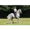 Uzdečka Hackamore Glory F.R.A., hnědá (Velikost PONY)