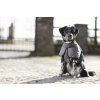 Deka pro psy Buddy HKM, s fleecem, deep grey (Velikost L)