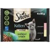 Kapsičky pro koťata Sheba, mix výběr, 4x85 g