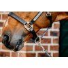 Ohlávka kožená Signature Horseware, černá (Velikost EXTRA FULL)