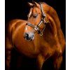 Ohlávka kožená Signature Horseware, černá (Velikost EXTRA FULL)