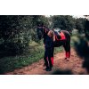 Bandáže fleecové Grenadine Equestrian Stockholm, 4 ks, 4 m, orange-red