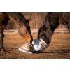 416585111 838303881642435 6589224100820060982 n