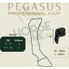 pegasus zadni