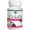 Colafit DOG CAT 50 kost 2105202113190622674