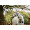Ohlávka bezpečnostní Horseware, navy (Velikost COB)