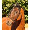 Maska proti hmyzu Basic Waldhausen, s ochranou uší, černá (Velikost PONY)