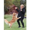 Vesta Regular Pro Dog Trainer UHIP, dámská, jet black