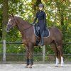 Podbřišník drezurní Air Mesh QHP, černý (Délka 55 cm)