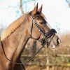 Ochrana brady Air Mesh QHP, černá (Velikost PONY)