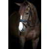 Uzdečka Cryll 24.2 HorseGuard, se švédským nánosníkem, černá