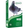 Krmivo s vitamíny a minerály pro holuby Mikros Mikrop, 1 kg