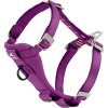 Postroj bezpečnostní pro psy do auta True Fit Enhanced Strenght Kurgo, s pásem, M, purple