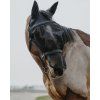 Ohlávka s maskou proti hmyzu Equithème, černá (Velikost PONY)